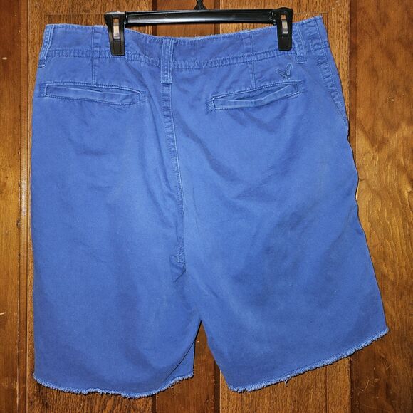 American Eagle Mens Blue Flat Front Shorts 34W | Casual Chino Summer Style - Picture 2 of 11